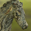 Greenhorse